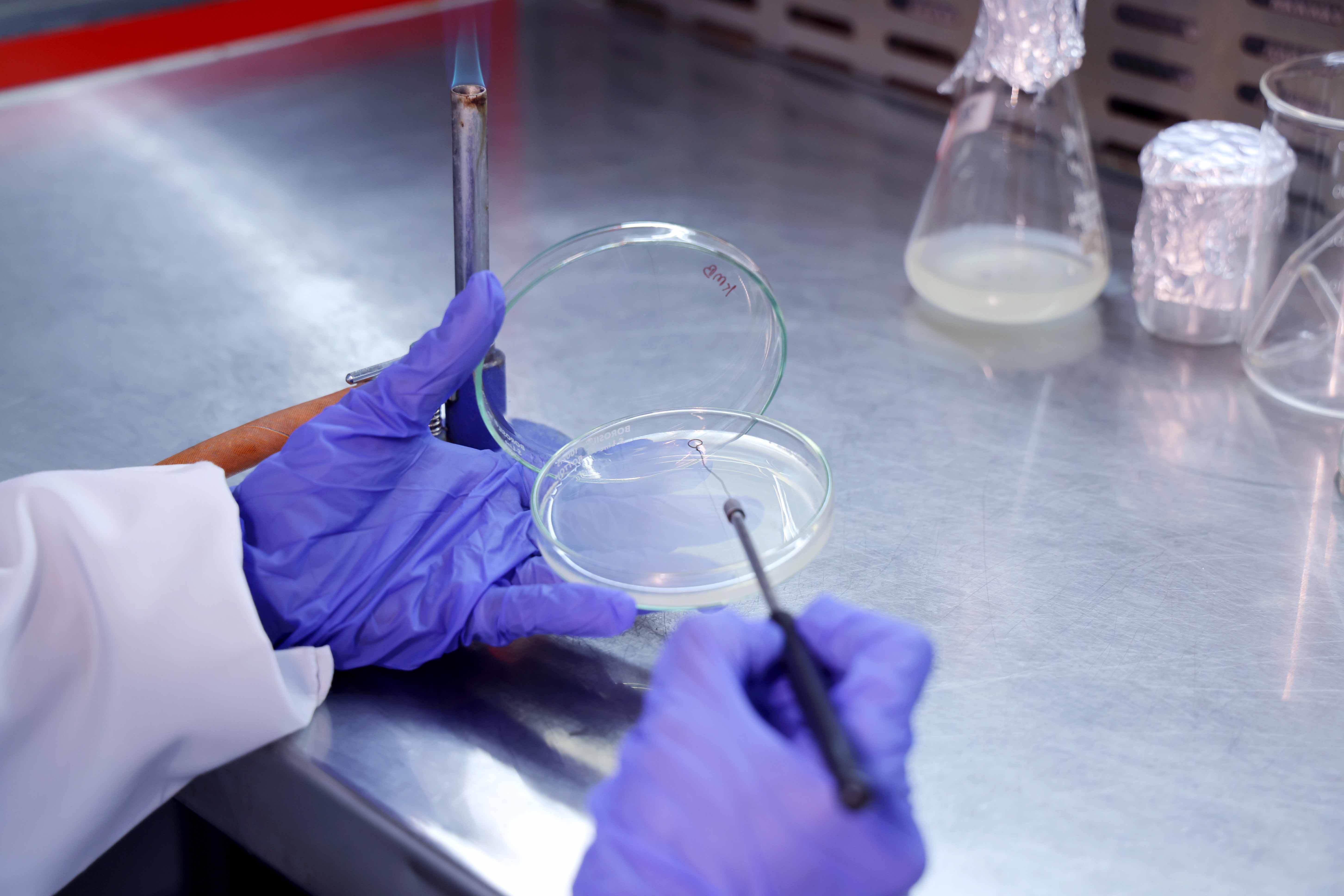 Introduction to SV Biotech